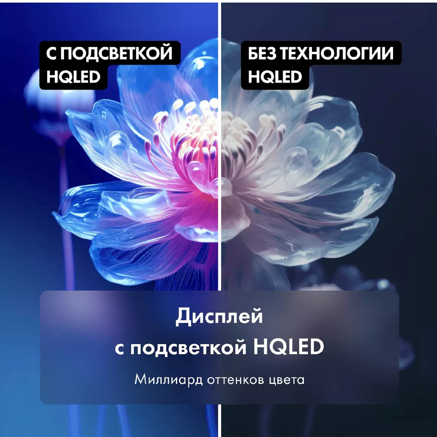 Телевизор HQLED Haier 50 Smart TV S5 Android TV, 4K